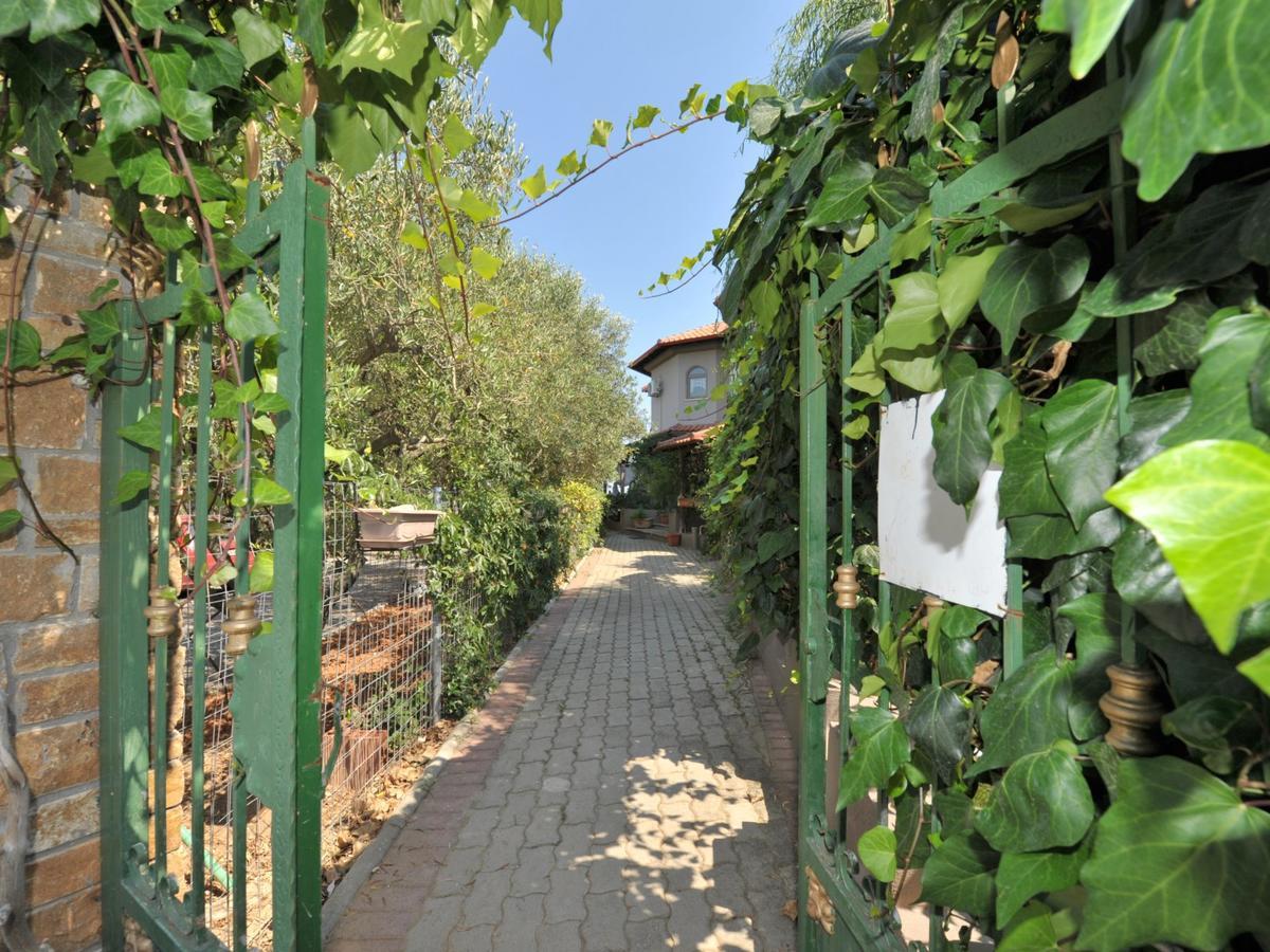 Alice Wonderland Home Nea Flogita Halkidiki Exteriér fotografie